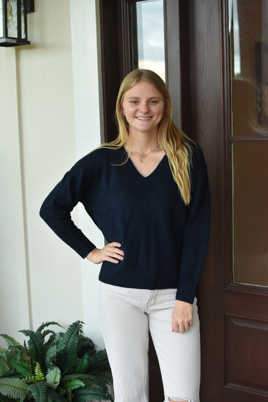 Navy Solid V Neck Sweater