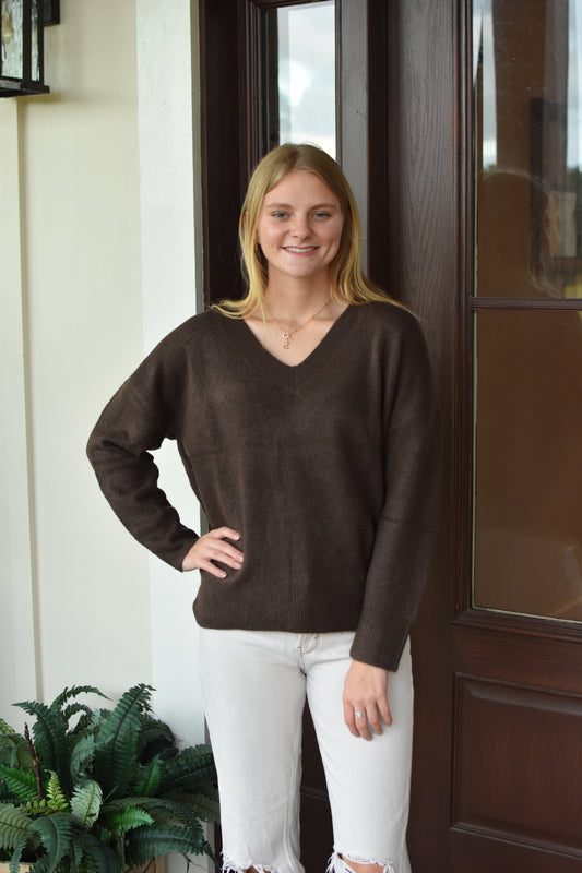 Cocoa Brown Solid V Neck Sweater