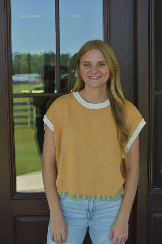 Multi Color Sweater Vest