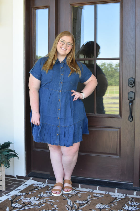 Chambray Button Up Mini