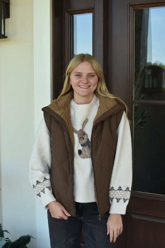 Brown Fleece Lined Vest