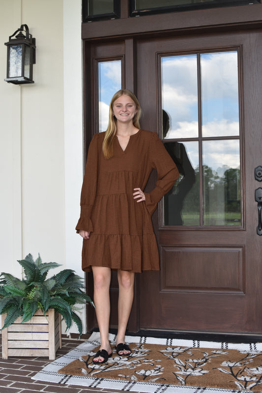 Brown Long Flared Sleeve Mini